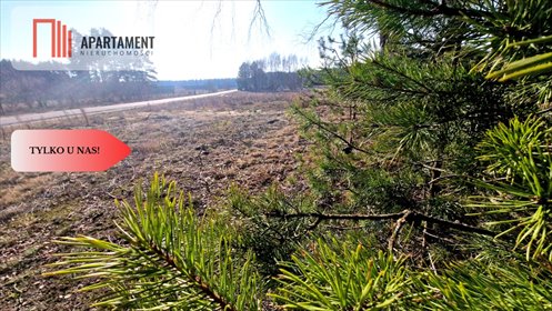 działka na sprzedaż 1186m2 działka Czersk