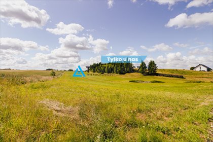 działka na sprzedaż 4276m2 działka Nowa Wieś Kościerska, Pogodna