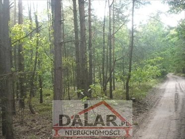 działka na sprzedaż 13500m2 działka Chynów, Chynów okolice
