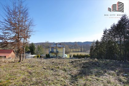 działka na sprzedaż 7551m2 działka Nałęczów, Henryka Wiercieńskiego