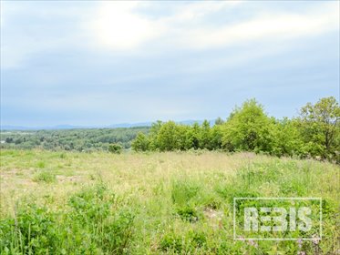 działka na sprzedaż 4000m2 działka Bączal Dolny
