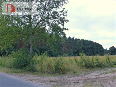 działka na sprzedaż 90102m2 działka Małomin