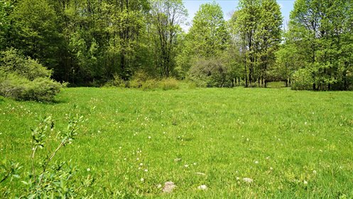 działka na sprzedaż 1500m2 działka Nowica