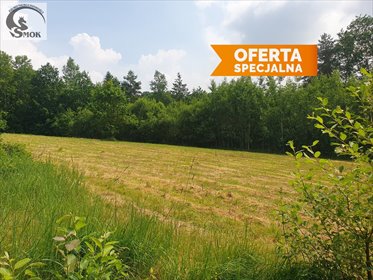 działka na sprzedaż 5400m2 działka Włosań
