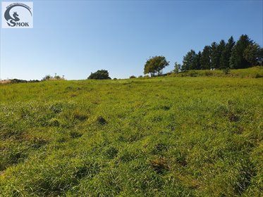 działka na sprzedaż 6800m2 działka Podstolice
