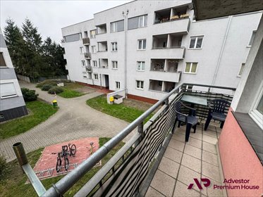 mieszkanie na wynajem 48m2 mieszkanie Poznań, Grunwald, Grunwaldzka