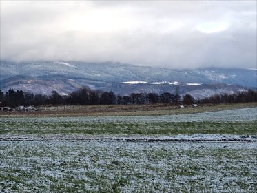 działka na sprzedaż 4465m2 działka Domaszków