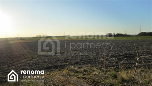 działka na sprzedaż 1005m2 działka Strzeżenice