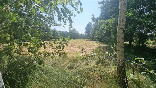 działka na sprzedaż 13000m2 działka Słupno, Wiślana