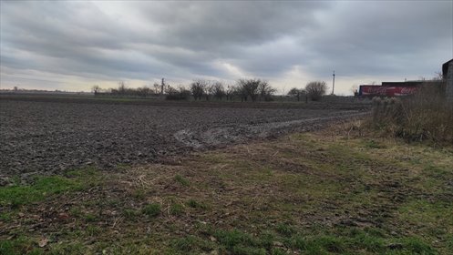 działka na sprzedaż 30000m2 działka Podrochale
