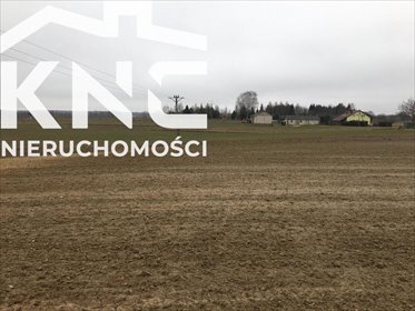działka na sprzedaż 18400m2 działka Tomaszowice
