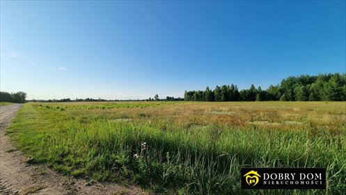 Duża działka 25 289 m² pod zabudowę zagrodową (Mikłaszewo) działka Mikłaszewo