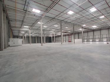 magazyn na wynajem 7500m2 magazyn Radzymin