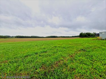 działka na sprzedaż 3000m2 działka Smardzowice