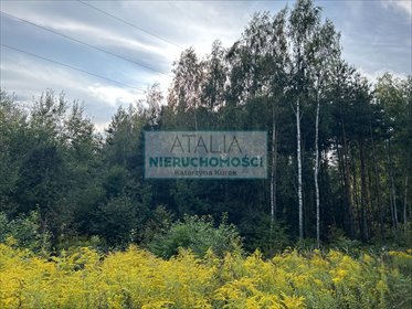 Działka 3000 m² z MPZP, media, podział, Radziejowice - zapraszam działka Radziejowice