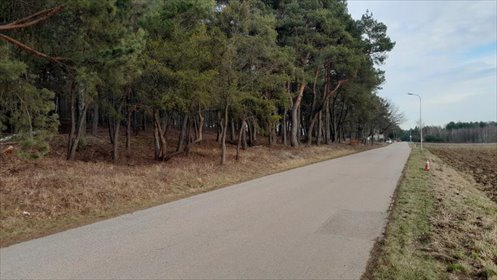 działka na sprzedaż 1366m2 działka Skrzeszew, Partyzantów