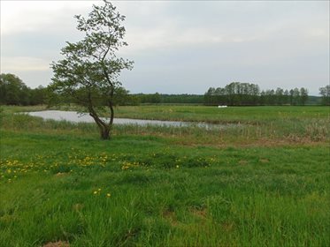 Działka rolna na sprzedaż Kępa Mała 15 000m2 Foto 1