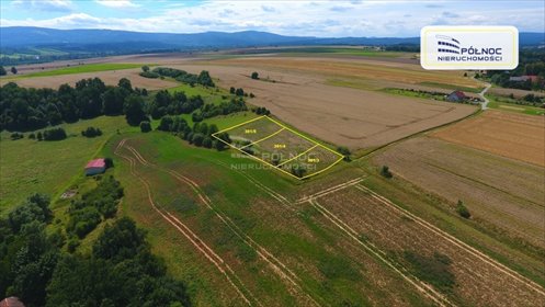 działka na sprzedaż 1500m2 działka Szalejów Dolny