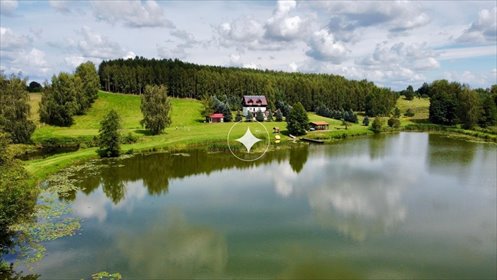 lokal użytkowy na sprzedaż 240m2 lokal użytkowy Warkałki