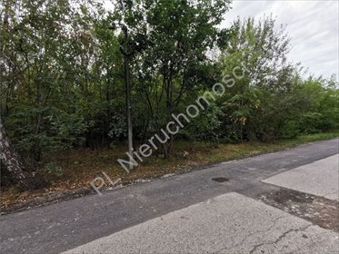działka na sprzedaż 2500m2 działka Stara Wieś