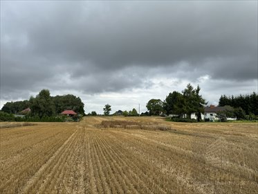 działka na sprzedaż 10233m2 działka Kolonia Maszewo