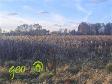 działka na sprzedaż 62774m2 działka Dubeczno