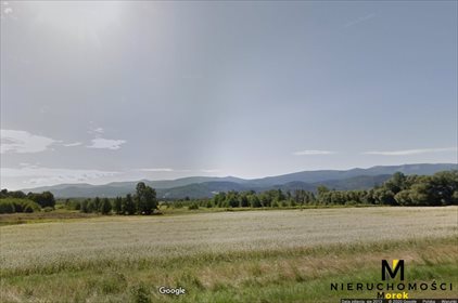 działka na sprzedaż 1950m2 działka Wojcieszyce