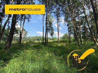 działka na sprzedaż 3128m2 działka Władysławów, Lesznowola