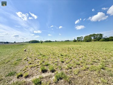 Działki 3000 m² w Jeńkach - spokój i natura działka Jeńki