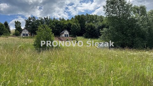 działka na sprzedaż 3740m2 działka Michałkowa, Michałkowa