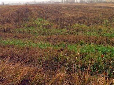 działka na sprzedaż 3491m2 działka Lublin, Wrotków