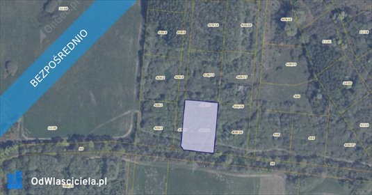 działka na sprzedaż 3020m2 działka Pręgowo