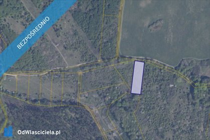 działka na sprzedaż 3001m2 działka Pręgowo