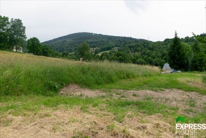 działka na sprzedaż 1880m2 działka Stronie Śląskie, Dolna