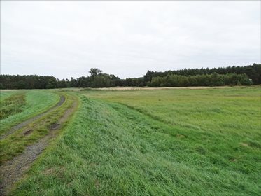 Działka rolna na sprzedaż Orzeszków, Wińsko 15 033m2 Foto 5