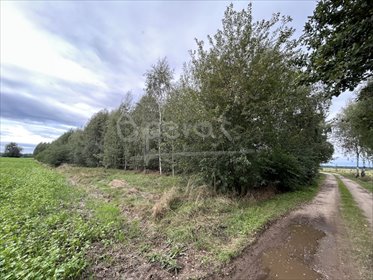 działka na sprzedaż 8300m2 działka Chynowa, Chynowa