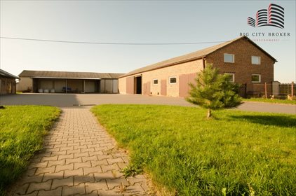 lokal użytkowy na wynajem 454m2 lokal użytkowy Zemborzyce Tereszyńskie