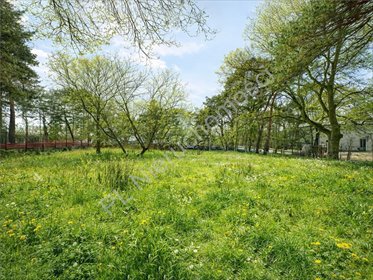 Działka budowlana 1172 m² w Milanówku - polecam działka Milanówek