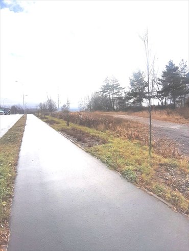działka na wynajem 1300m2 działka Wałbrzych, Biały Kamień