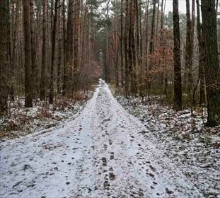 Działka rekreacyjna na sprzedaż Jamborek 1 200m2 Foto 3