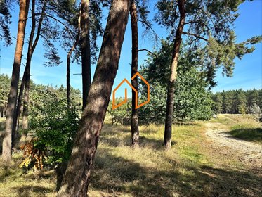 działka na sprzedaż 31915m2 działka Lubonieczek