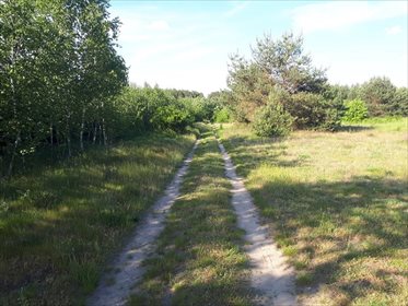 Działka budowlana na sprzedaż Wójcice, Jelcz-Laskowice 61 612m2 Foto 5