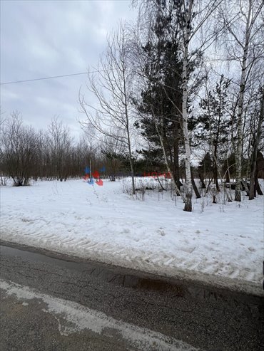 działka na sprzedaż 3982m2 działka Prażmów