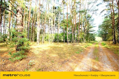 Działka siedliskowa na sprzedaż Zalesie, Zelów 34 300m2 Foto 7