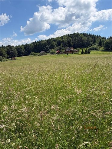 Działka 26 arów w Tarnawie Dolnej z widokiem na góry działka Tarnawa Dolna