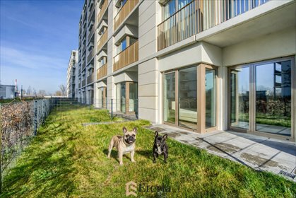 Nowe 45 m² z ogródkiem, garaż, wysoki standard mieszkanie Warszawa, Praga-Północ, Pelcowizna, Jagiellońska 81A