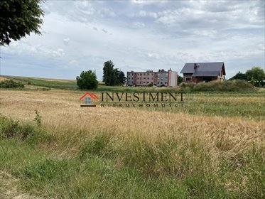 Działki budowlane 2400 m² w Długomiłowicach – spokojna okolica działka Kędzierzyn-Koźle, Tartaczna