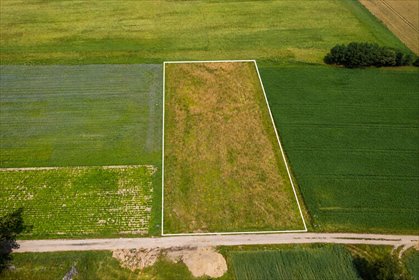 Działka 3260 m² z MPZP pod dom jednorodzinny w Żychlinie. działka Żychlin