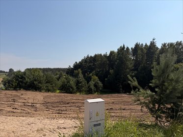 Działka 1208 m² w Gołubiu - MPZP, rekreacja polecam działka Gołubie, Jarzębinowa