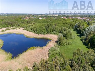 Działka 4300 m² z stawami i lasem w Starej Miasto działka koniński, Stare Miasto